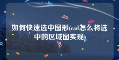 如何快速选中图形(cad怎么将选中的区域图实现)