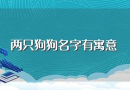 两只狗狗名字有寓意(有寓意的狗狗名字)