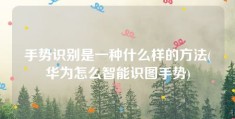 手势识别是一种什么样的方法(华为怎么智能识图手势)