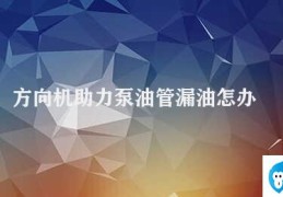 方向机助力泵油管漏油怎办(方向机助力泵油管漏油应该怎么办)