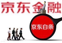 为什么我激活不了京东白条(京东白条怎么激活)