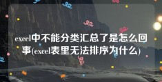 excel中不能分类汇总了是怎么回事(excel表里无法排序为什么)