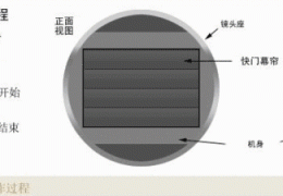 单反相机快门寿命多少合适(深度解析单反相机快门的工作原理)