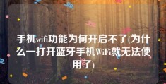 手机wifi功能为何开启不了(为什么一打开蓝牙手机WiFi就无法使用了)