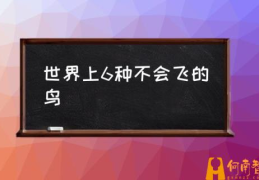 世界上6种不会飞的鸟(什么鸟不会飞？)