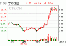 吉药集团有限公司: 主要子公司亏损严重，净资产降至负数