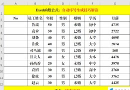 excel中自定义序列的操作步骤(excel自定义序列)