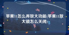 苹果11怎么弄放大功能(苹果11放大镜怎么关闭)