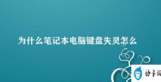 为什么笔记本电脑键盘失灵怎么办(笔记本电脑键盘失灵的解决方法)