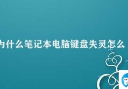 为什么笔记本电脑键盘失灵怎么办(笔记本电脑键盘失灵的解决方法)