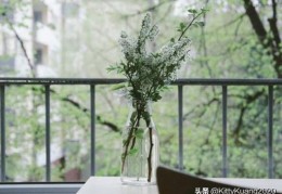 学会计专业，以后有发展前景吗？(学会计有利于创业吗)