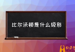 比尔沃顿是什么级别(比尔沃顿数据？)