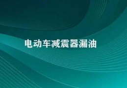 电动车减震器漏油(如何解决电动车减震器漏油问题)