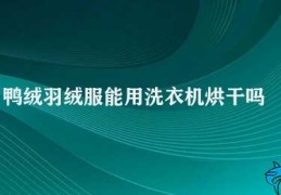 鸭绒羽绒服能用洗衣机烘干吗(鸭绒羽绒服的清洗保养指南)