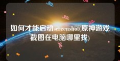 如何才能启动screenshot(原神游戏截图在电脑哪里找)