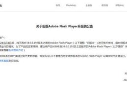 如何查看浏览器flash版本(查看电脑flash版本)