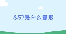 857是什么意思