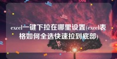 excel一键下拉在哪里设置(excel表格如何全选快速拉到底部)