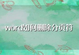 word如何删除分页符(怎样在Word中取消删除分页符)