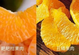 男的可不可以打宫颈癌疫苗(打完宫颈癌育苗还需定期筛查吗)