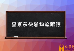 京东物流怎么查啊？(查京东快递物流跟踪)