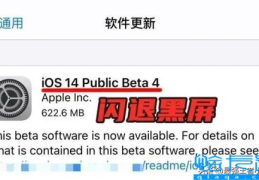 王者荣耀闪退怎么办(ios14闪退最新最全解决方法)