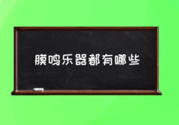 膜鸣乐器都有哪些(膜鸣乐器包括那些乐器？)