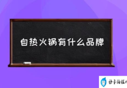 自热火锅有什么品牌(自热火锅哪个牌子好吃啊？)