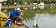 钓罗非鱼饵的4种味型，到底哪种最好用(罗非鱼喜欢吃什么饵料)