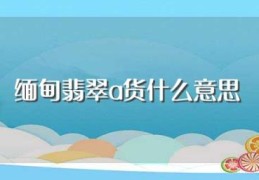 缅甸翡翠a货什么意思(什么是缅甸翡翠a货)