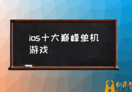 ios十大巅峰单机游戏(苹果十大耐玩单机游戏?)