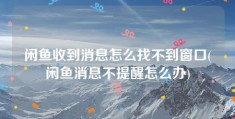 闲鱼收到消息怎么找不到窗口(闲鱼消息不提醒怎么办)