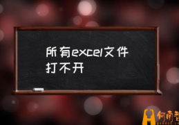 excel文件打不开什么原因？(所有excel文件打不开)