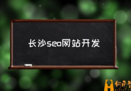 长沙SEO是通过什么手段来优化的？(长沙seo网站开发)