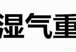 男人排湿气最快的方法是什么？(去湿气最快的好方法)