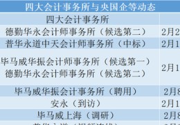 四大会计事务所新中标多家国企项目(近年共主审央企24家收入近10亿元)