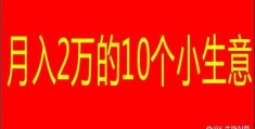 “月入2万的10个小生意”(月入2万的10个小生意,总有一款适合你)