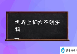 世界上10大不明生物(十大神秘生物？)