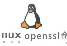 Linux中openssl命令怎么用