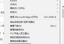 windows系统中WAN口有IP地址但上不了网怎么办