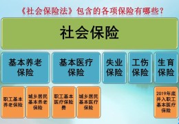 社会保险费一个月交多少钱(社会保险费包括哪些)