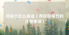 凤尾竹怎么换盆（养好凤尾竹的注意事项）