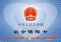 公司员工社保如何缴纳(公司怎么交社保)