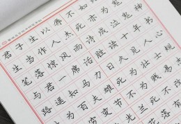 20天练一手好字小学生怎么练