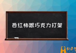 巧克力和西红柿打架谁会赢？(西红柿跟巧克力打架)