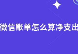 微信账单怎么算净支出