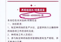 月薪4万招人去非洲养鸡?(去非洲养鸡要什么条件)