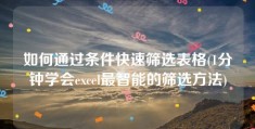 如何通过条件快速筛选表格(1分钟学会excel最智能的筛选方法)