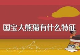 国宝大熊猫有什么特征(国宝大熊猫有什么特点)