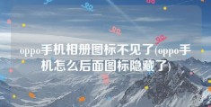 oppo手机相册图标不见了(oppo手机怎么后面图标隐藏了)